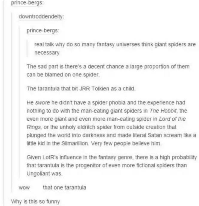 A discussion about why J.R.R. Tolkien used spiders as villains over and over because of a spider bite as a child.