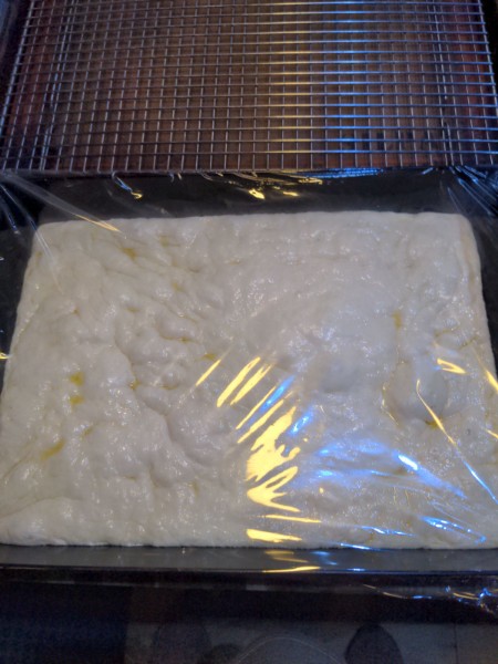 After rising for another half-hour or so on top of the oven, large bubbles can be seen on the surface of the dough.